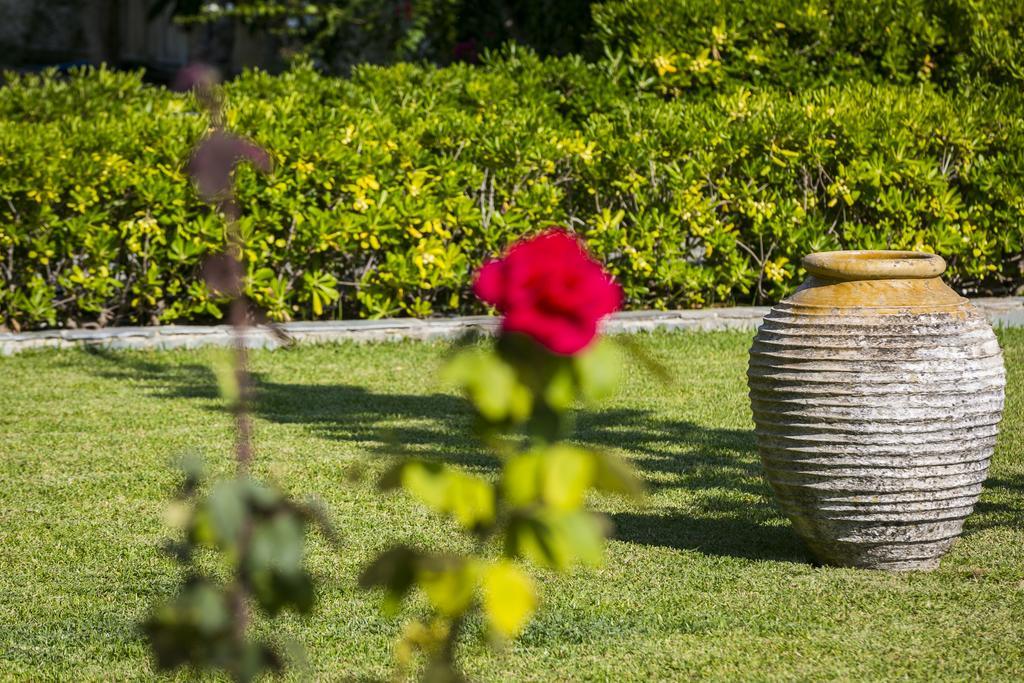 Olive Grove Studios & Apartments Zvoronáta Kültér fotó